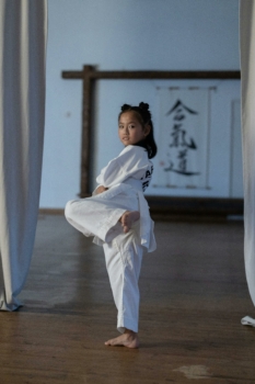 aikido