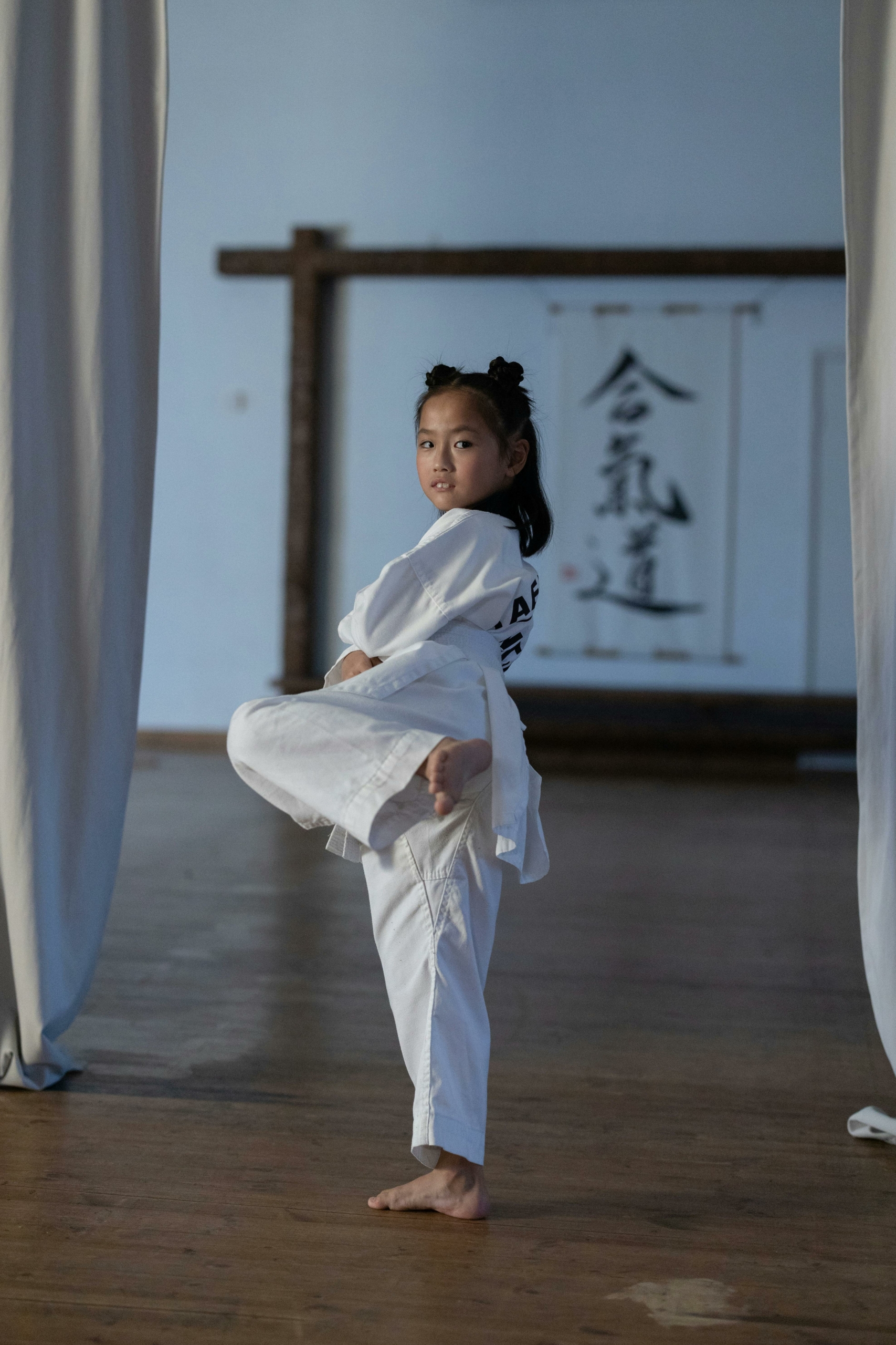 aikido